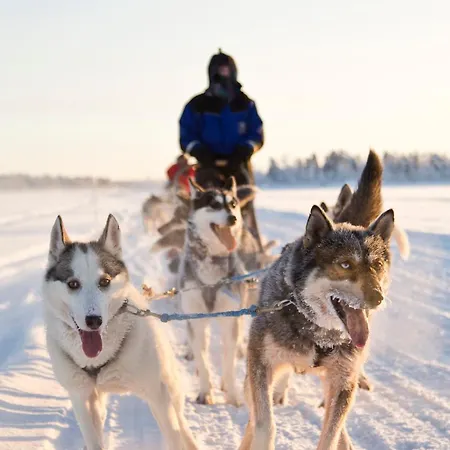 Wilderness 5* Саариселькя