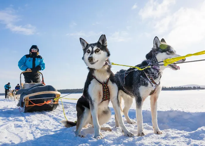 Wilderness Saariselka