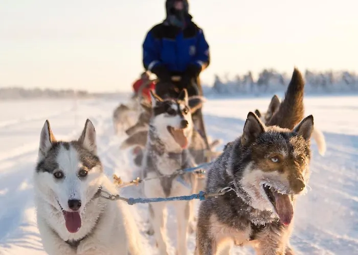 Wilderness 5* Saariselka